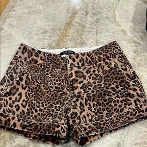 Dear John Leopard Print Women's Shorts